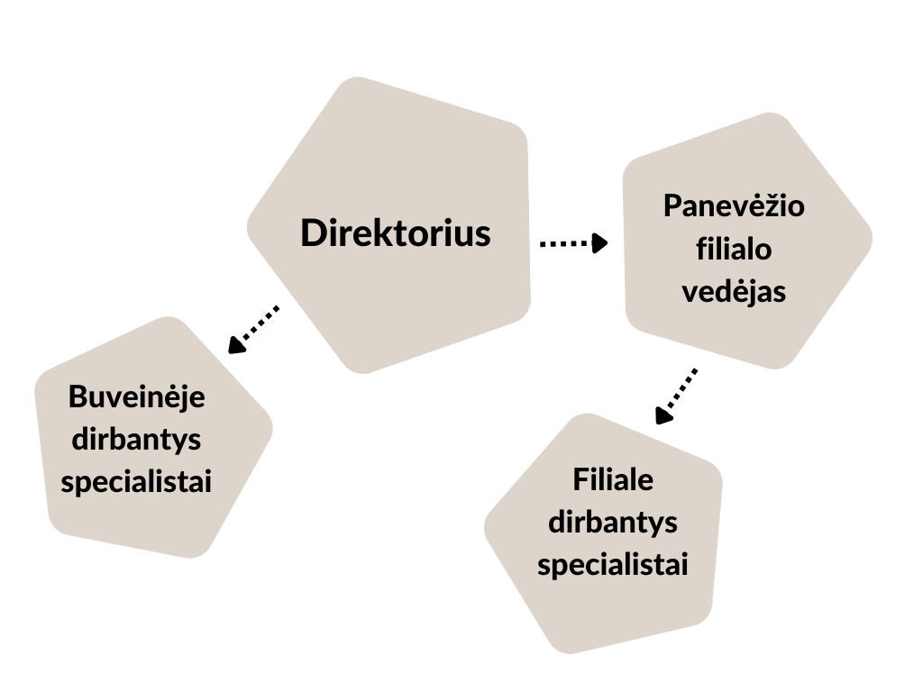ŠRVA struktūra.png